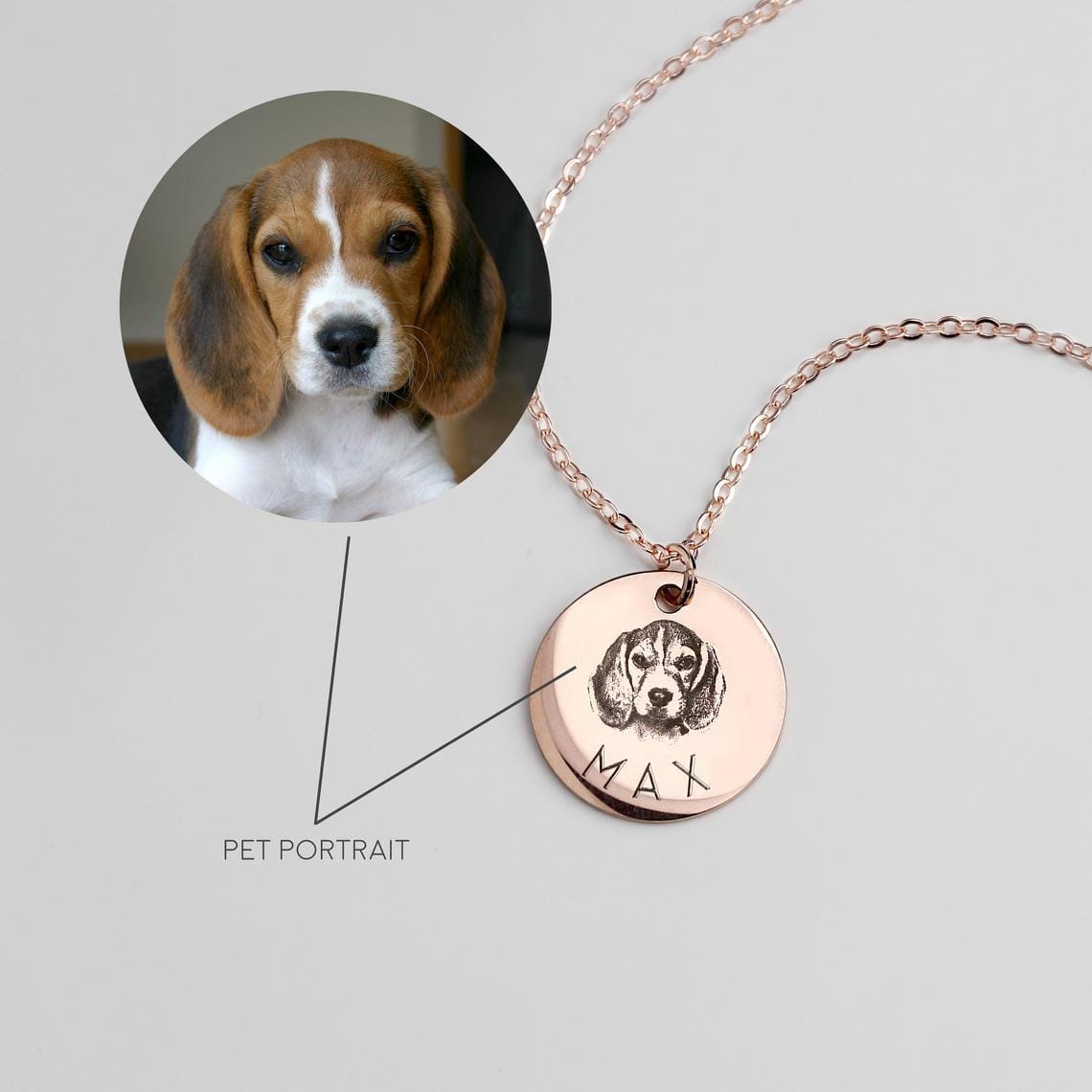 Personalized Pet Photo Initial Date Necklace Stainless Steel Engraved Disc Pendants Custom For Women Memorial